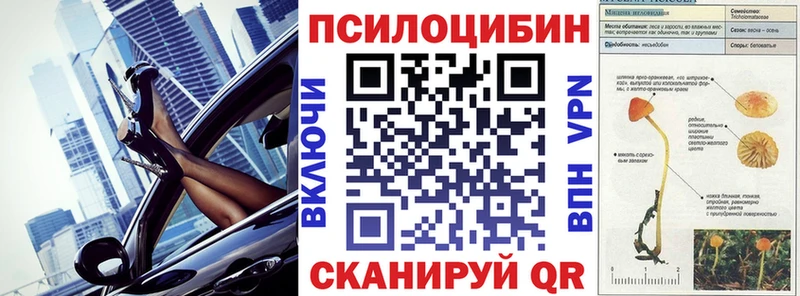 Галлюциногенные грибы Psilocybe  Таруса 